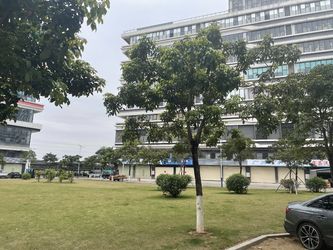 Guangdong Testi Auto Parts Trading Co., Ltd.